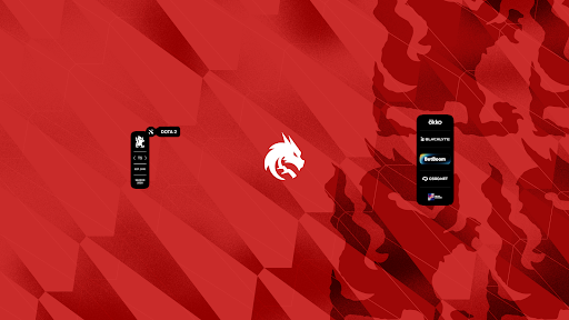 Team Spirit banner