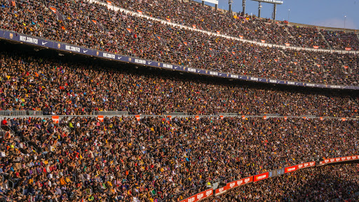 Sports Fans banner