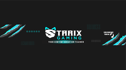 Starix Gaming banner