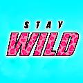 Stay Wild avatar