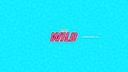 Stay Wild banner