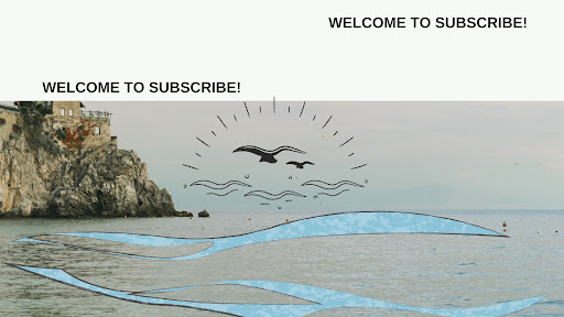 Stellarine Show banner