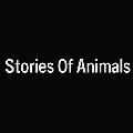 Stories Of Animals avatar