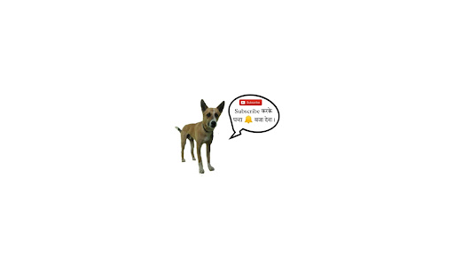 Street Dog Pluto banner
