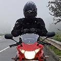 Strell In Malayalam avatar
