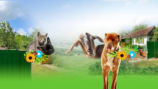 Хутор Стуканов banner