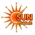 Sun Gemini avatar