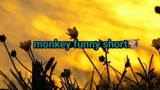 sunny kumar  banner