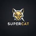 Supercat avatar