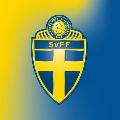 svenskfotboll avatar