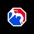 TACTIC MMA avatar