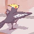 ⓒ︎Такизава  avatar