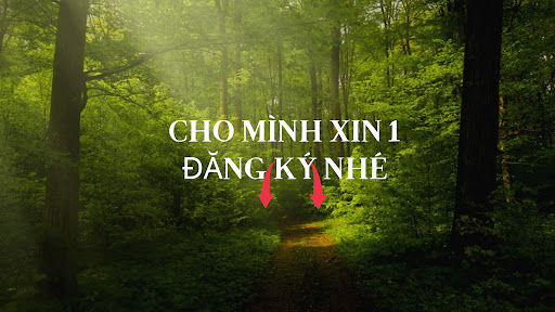Tâm Shiper  banner