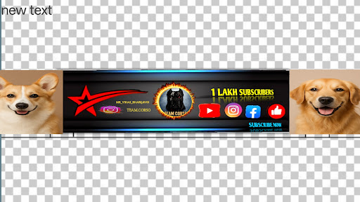 Team Corso banner