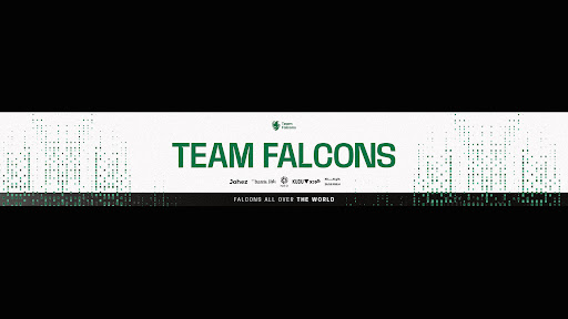 Falcons banner