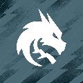 Team Spirit CS avatar