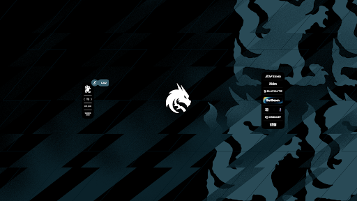 Team Spirit CS banner