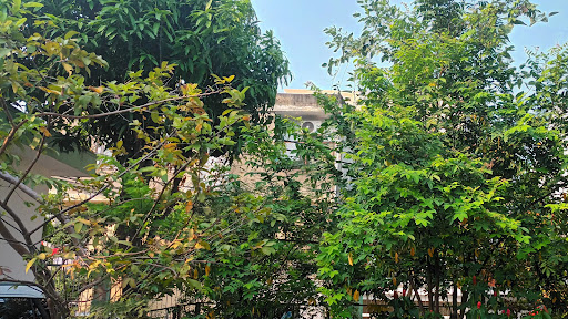  team hài hước banner