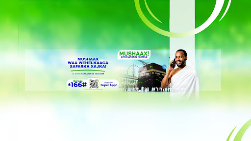 Telesom Company banner