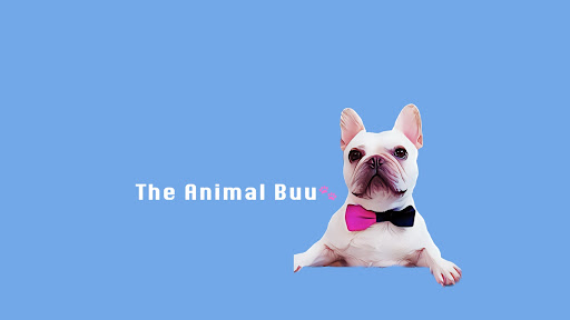 The Animal Buu  banner