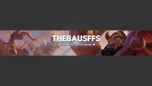 Thebausffs banner