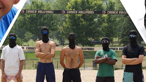 thebrownsetter banner