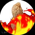 TheBurntPeanut avatar