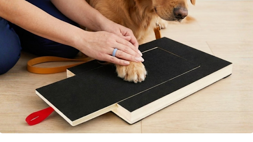 TheCalmPaw banner