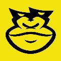 TheCrazyGorilla avatar