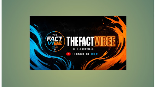 TheFactVibee banner