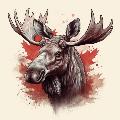 Moose on the Loose avatar