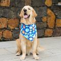 The Pawsome Life of Murphy avatar
