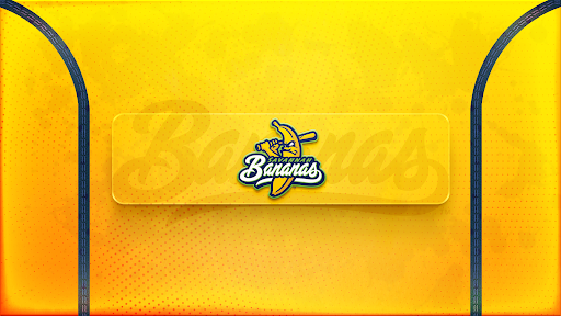 The Savannah Bananas banner