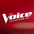 The Voice : la plus belle voix avatar