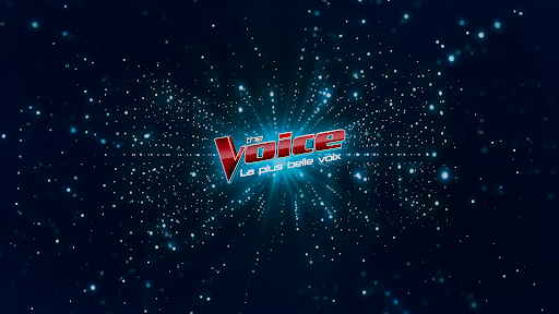 The Voice : la plus belle voix banner