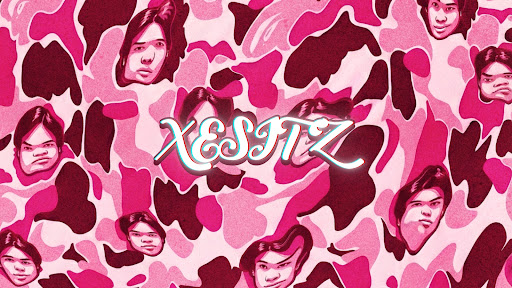 The Xesitz banner