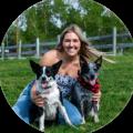 thezcattledogs Dogs avatar