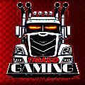 THIAGO GAMING  avatar