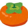 柿柿 chichi avatar