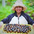 Thoa Nguyen Daily Life avatar