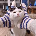 Coraline avatar