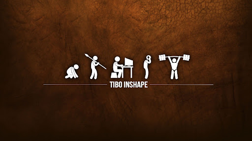 Tibo InShape banner