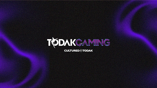 Todak Gaming banner