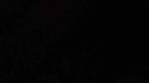 Tokyo Sims banner