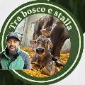 TRA BOSCO E STALLA (Michele Barbu) avatar