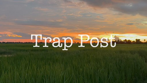Trap Post banner