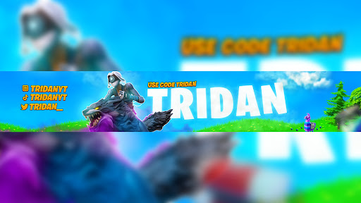 TriDan banner