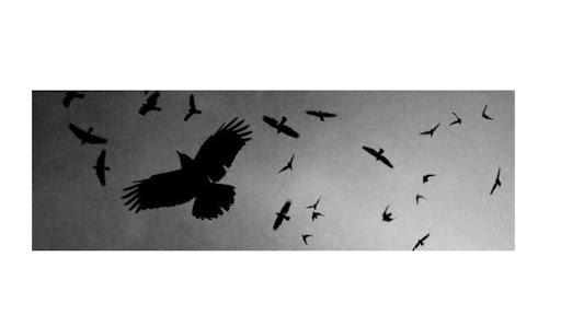 Trigg3r07 banner