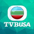 TVB USA Official avatar