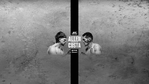 UFC banner